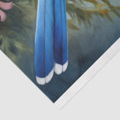 Blue Jay 2デコページ紙 薄葉紙 (詳細)