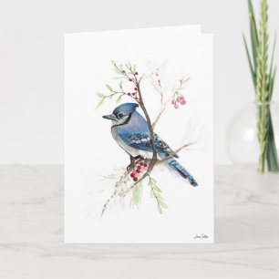 Blue Jay Bird Art カード