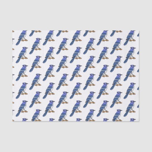 Blue jay bird cartoonイラストレーション 薄葉紙 (正面)