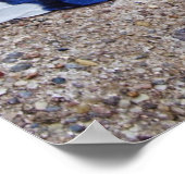 Blue Jay bird feathers ポスター (角)