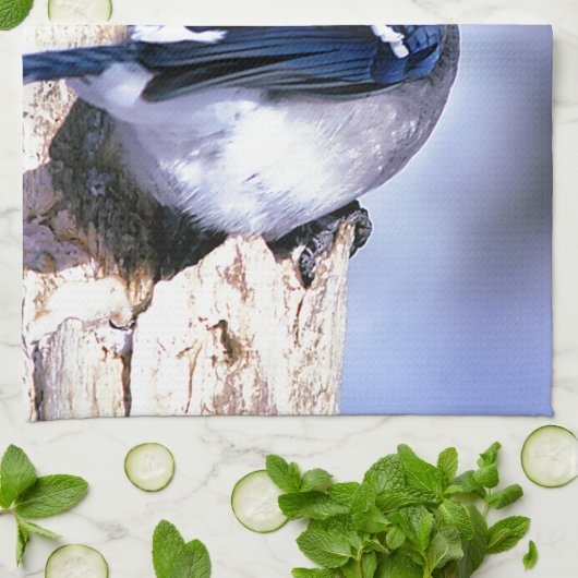 Blue Jay Bird lovers キッチンタオル (折り畳み)