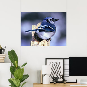 Blue Jay Bird Lovers ポスター