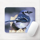 Blue Jay Bird lovers マウスパッド (マウス)