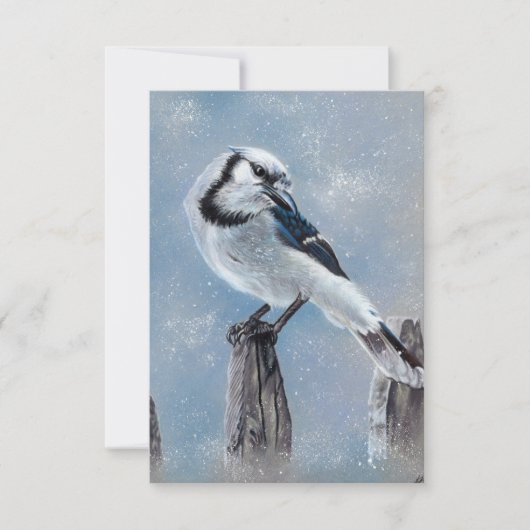 Blue jay bird noteカード サンキューカード (正面)