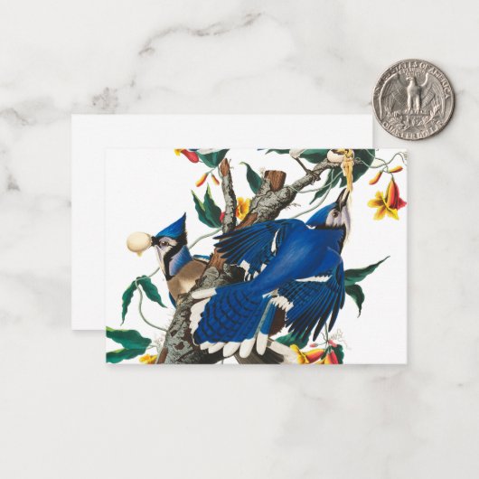 Blue Jay by John James Audubon ノートカード (正面/裏面インサイチュ)