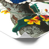 Blue Jay by John James Audubon ポスター (角)