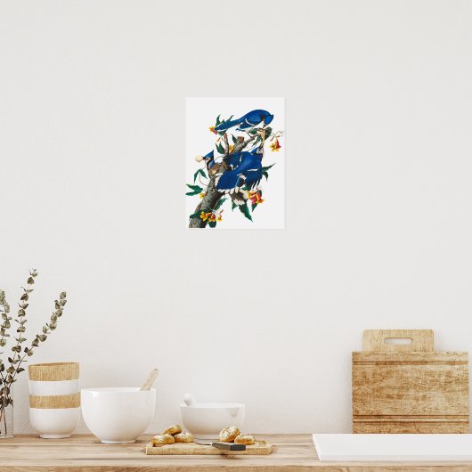 Blue Jay by John James Audubon ポスター (キッチン)