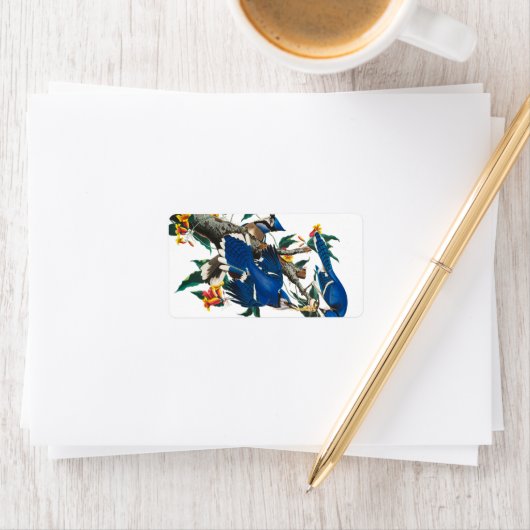 Blue Jay by John James Audubon ラベル (インサイチュ)
