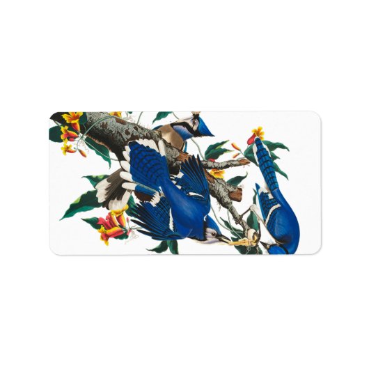 Blue Jay by John James Audubon ラベル (正面)