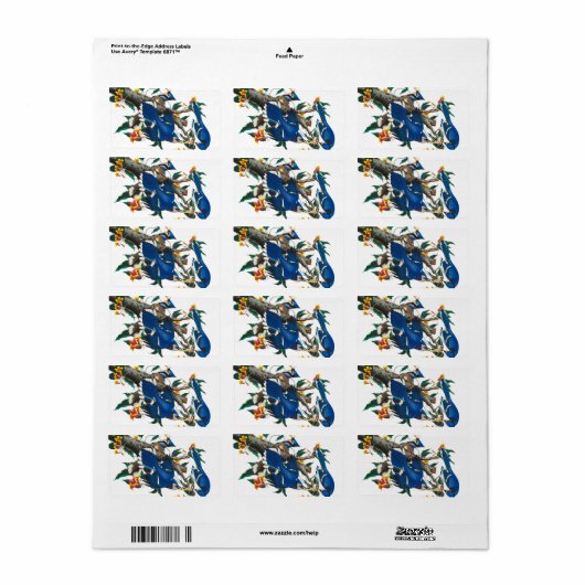 Blue Jay by John James Audubon ラベル (フルシート)