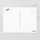 Blue Jay Curious Gaze Photographic ポストカード (裏面)