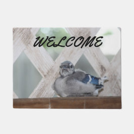 Blue Jay Doormat ドアマット