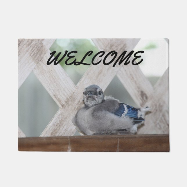 Blue Jay Doormat ドアマット (正面)