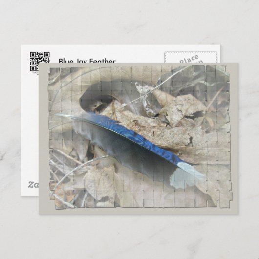 Blue Jay Feather Coordiningアイテム ポストカード (正面/裏面)