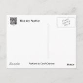 Blue Jay Feather Coordiningアイテム ポストカード (裏面)