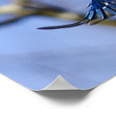 Blue Jay in Flightポスター ポスター (角)