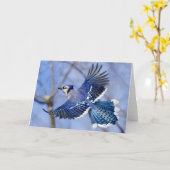 Blue Jay in Flight Greeting Card カード (黄色い花)