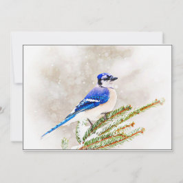 Blue Jay in Snowy Pine Tree シーズンカード