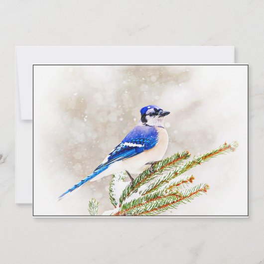 Blue Jay in Snowy Pine Tree シーズンカード (正面)