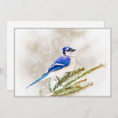 Blue Jay in Snowy Pine Tree シーズンカード (正面/裏面)