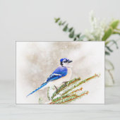 Blue Jay in Snowy Pine Tree シーズンカード (スタンド正面)