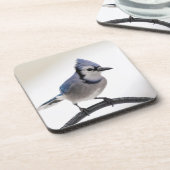 Blue Jay in Winter コースター (左側)