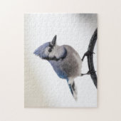 Blue Jay in Winter ジグソーパズル (縦)