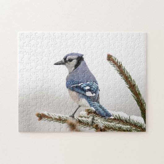 Blue Jay in Winter ジグソーパズル (横)