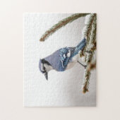Blue Jay in Winter ジグソーパズル (縦)