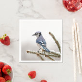 Blue Jay in Winter スタンダードカクテルナプキン (インサイチュ)