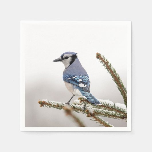 Blue Jay in Winter スタンダードカクテルナプキン (正面)