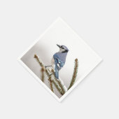 Blue Jay in Winter スタンダードカクテルナプキン (角)