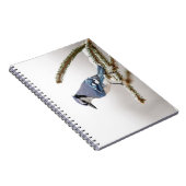 Blue Jay in Winter ノートブック (右側)