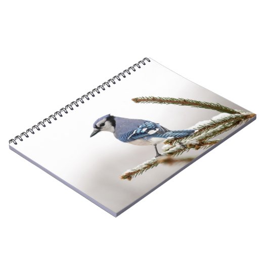Blue Jay in Winter ノートブック (左側)