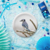Blue Jay in Winter ペーパープレート (パーティー)