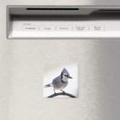 Blue Jay in Winter マグネット (インサイチュ (食洗機))