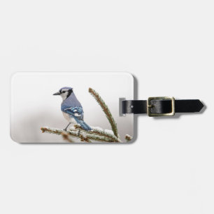 Blue Jay in Winter ラゲッジタグ