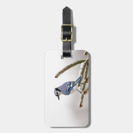 Blue Jay in Winter ラゲッジタグ (正面縦)
