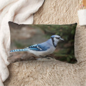 Blue Jay in Winter ランバークッション (ブランケット)