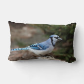 Blue Jay in Winter ランバークッション (裏面)