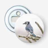 Blue Jay in Winter 栓抜き (正面)
