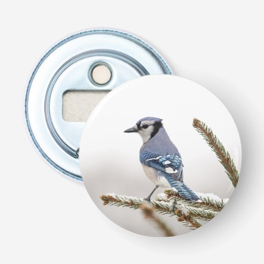 Blue Jay in Winter 栓抜き (正面)