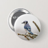 Blue Jay in Winter 缶バッジ (正面&裏面)