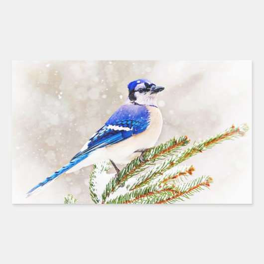 Blue Jay in Winter 長方形シール (正面)