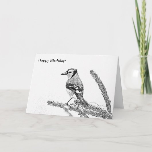 Blue Jay in Winter Sketch誕生日カード カード (正面)