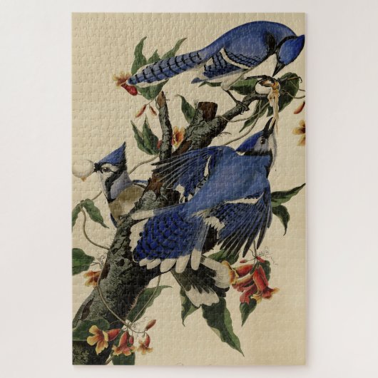 Blue Jay - John James Audubon's Birds of America ジグソーパズル (縦)