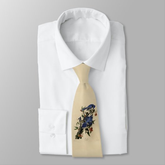 Blue Jay - John James Audubon's Birds of America ネクタイ (タイ)