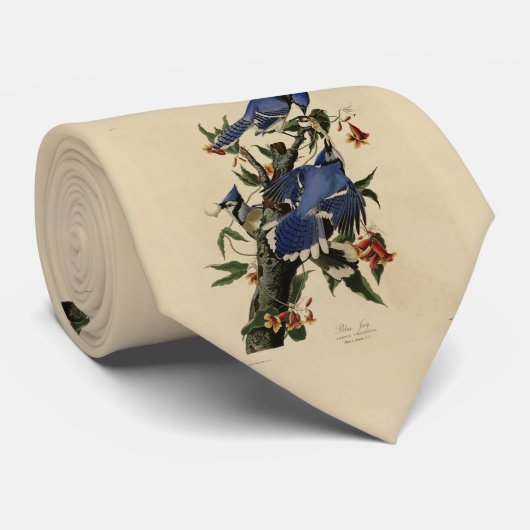 Blue Jay - John James Audubon's Birds of America ネクタイ (ロール)