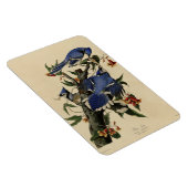 Blue Jay - John James Audubon's Birds of America マグネット (右側)