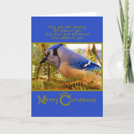 Blue Jay on Cedar Feeder w Firクローズアップ シーズンカード